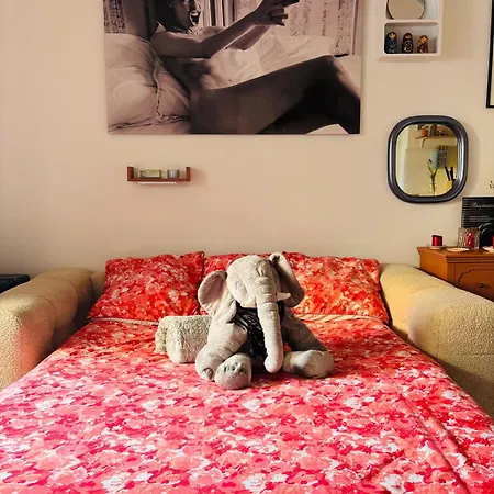 A La Felicita アパート アジャクシオ