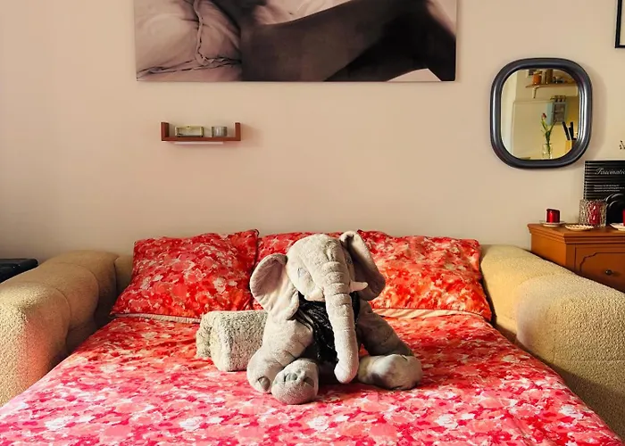 A La Felicita شقة أجاكسيو